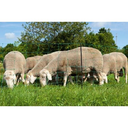 Détails sur  Filet OVINET haut 110cm/long 50m cloture 10 hauteurs de fils, mouton chevre