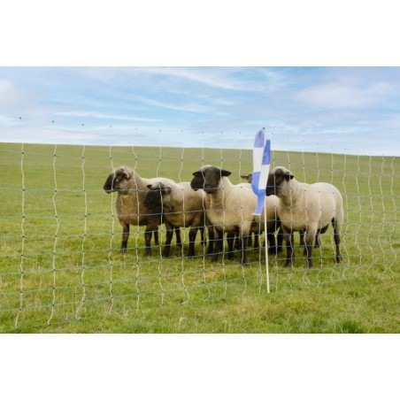 Cloture anti loups pour moutons electrique
