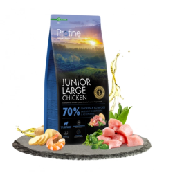 12kgs - Junior Large Poulet...