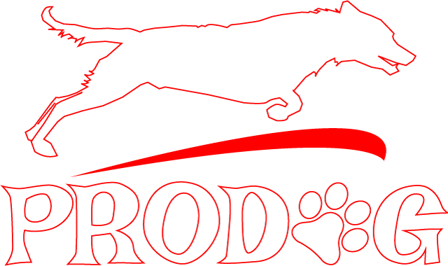  Prodog