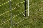 Piquet de renfort d'angle rigide 145 cm pour filet de clôture jusqu'à 122 cm