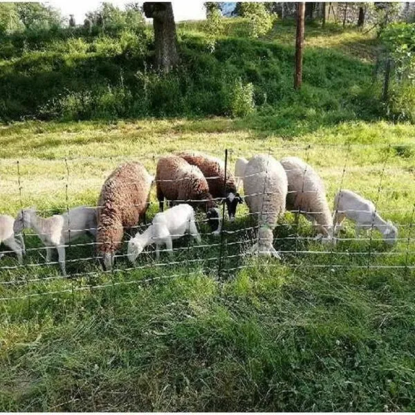Filet de clôture électrifiable rigide Titan Kombi pour mouton et chèvre H 93 cm x L 50 m (9 fils, 14 piquets) – Image 3