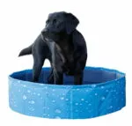 Piscine grand modèle pour chien Bubble Kerbl 120 x 30 cm - 340 L