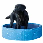 Piscine grand modèle pour chien Bubble Kerbl 120 x 30 cm - 340 L