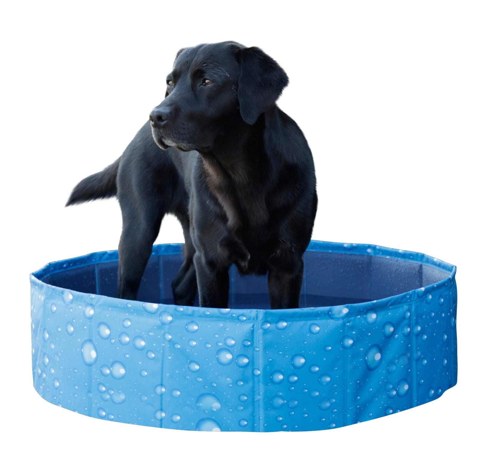 piscine-grand-modele-120x30cm-340litres-bubble-kerbl-pour-chien.jpg Piscine grand modèle pour chien Bubble Kerbl 120 x 30 cm - 340 L – Image 1