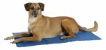 Tapis rafraîchissant avec gel auto-réactivant Cool Relax Kerbl pour chien - 90 x 50 cm – Image 2