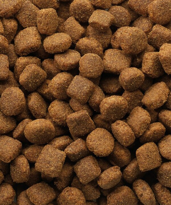 Croquettes pour chien adulte Versele-Laga Classic Agneau & Riz - 20 kg – Image 2