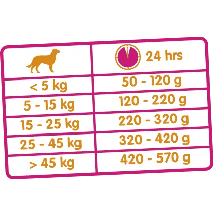 Croquettes pour chien adulte Versele-Laga Classic Agneau & Riz - 20 kg – Image 3