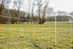 Filet de clôture anti-loup et grand gibier Titan Kombi H 145 cm x L 50 m – Image 4