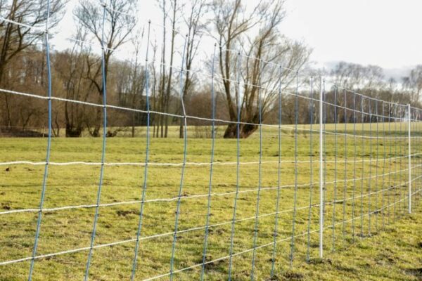 Filet de clôture anti-loup et grand gibier Titan Kombi H 145 cm x L 50 m – Image 4