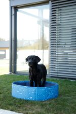 Piscine grand modèle pour chien Bubble Kerbl 120 x 30 cm - 340 L – Image 2