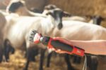 Tondeuse pour mouton FarmClipper Profi Kerbl - 350 W / 6 vitesses